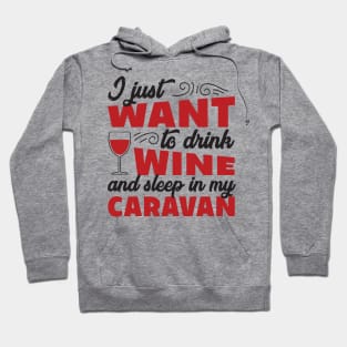 Wine Funny Quote Hoodie